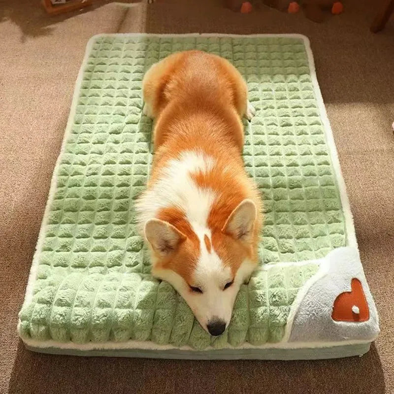 Luxury Dog Mat for Small or Medium Dogs