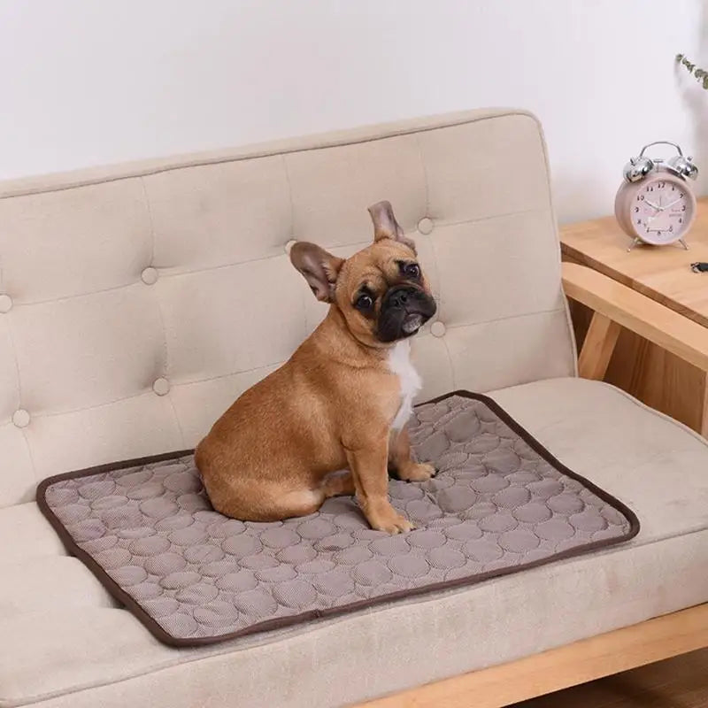 Cooling Dog Mat in Multiple Sizes for All Dogs