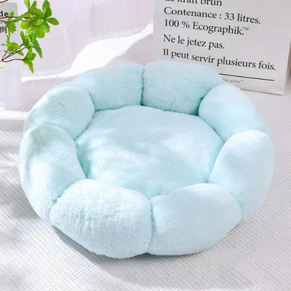 Flower-Shaped Dog Beds