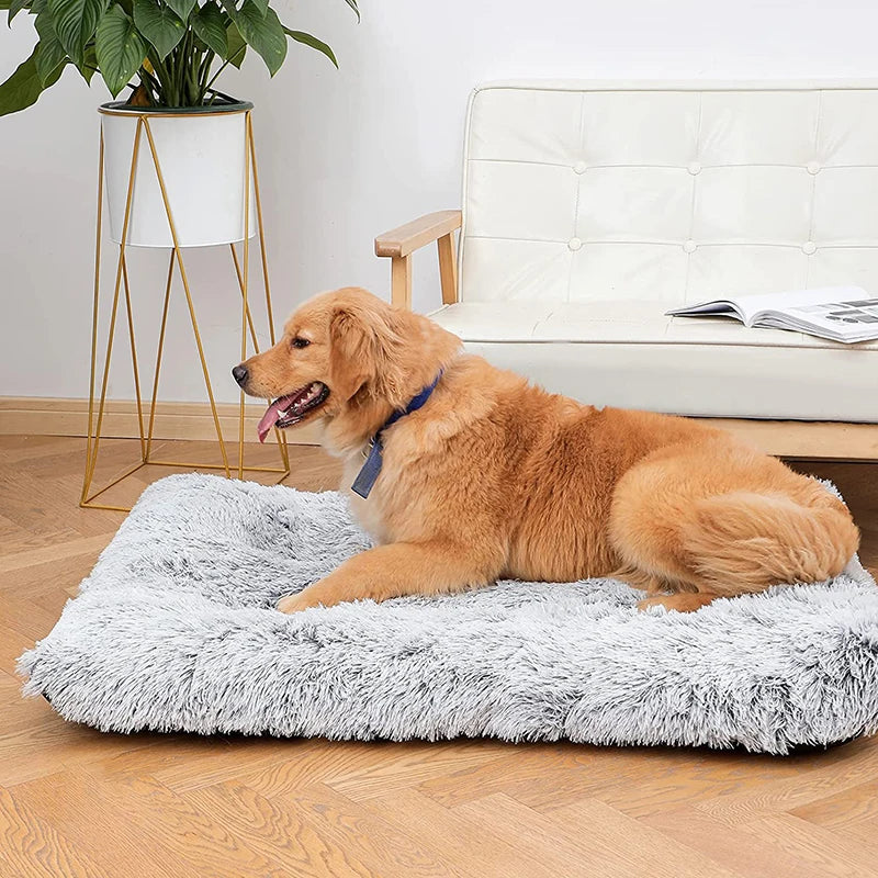 Luxury Plush and Calming Dog Bed