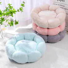 Flower-Shaped Dog Beds