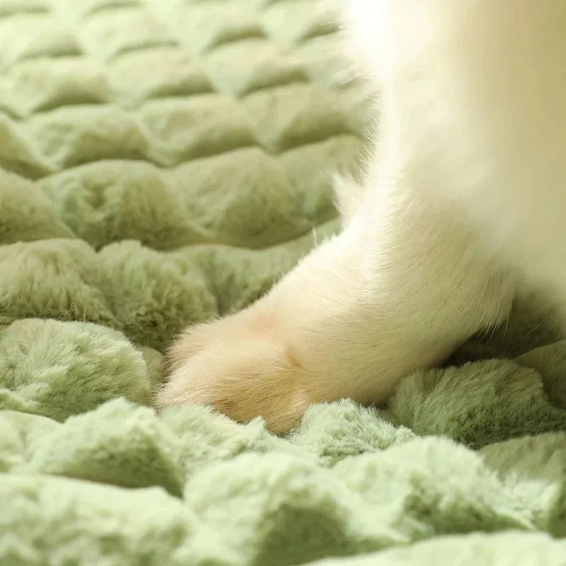 Luxury Dog Mat for Small or Medium Dogs