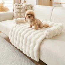 Luxury Big Cushions Bedding for All Dogs