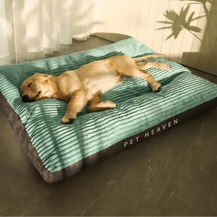 Dog lying on a green and gray pet bed with 'Pet Heaven' branding, in a room with curtains and a plant.