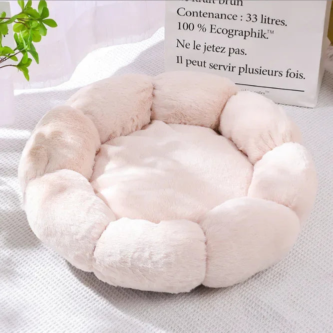 Flower-Shaped Dog Beds