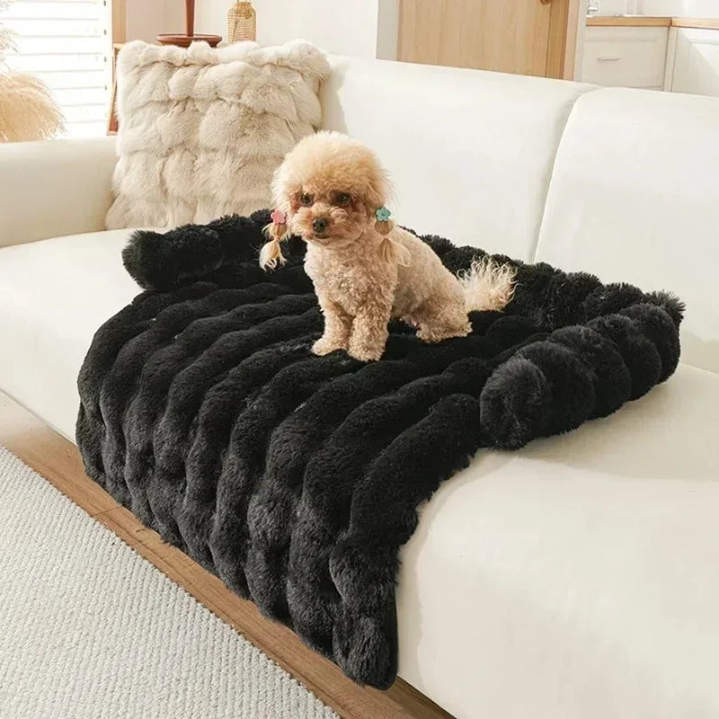 Luxury Big Cushions Bedding for All Dogs