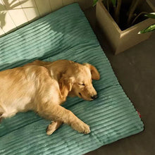 Large Soft Corduroy and Non-slip Dog Bed/Mat