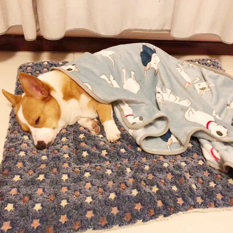 Flannel Thickened Mat Dog Bed