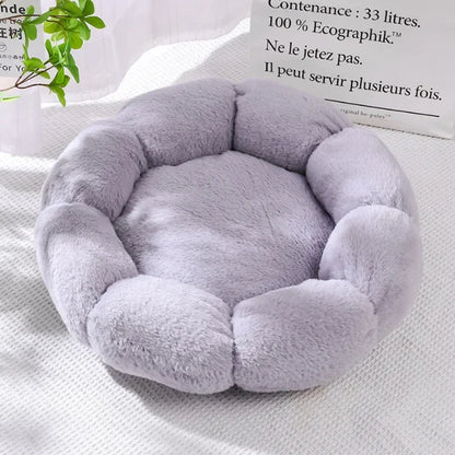 Flower-Shaped Dog Beds