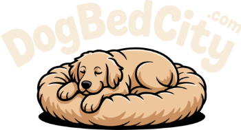 Dog Bed City